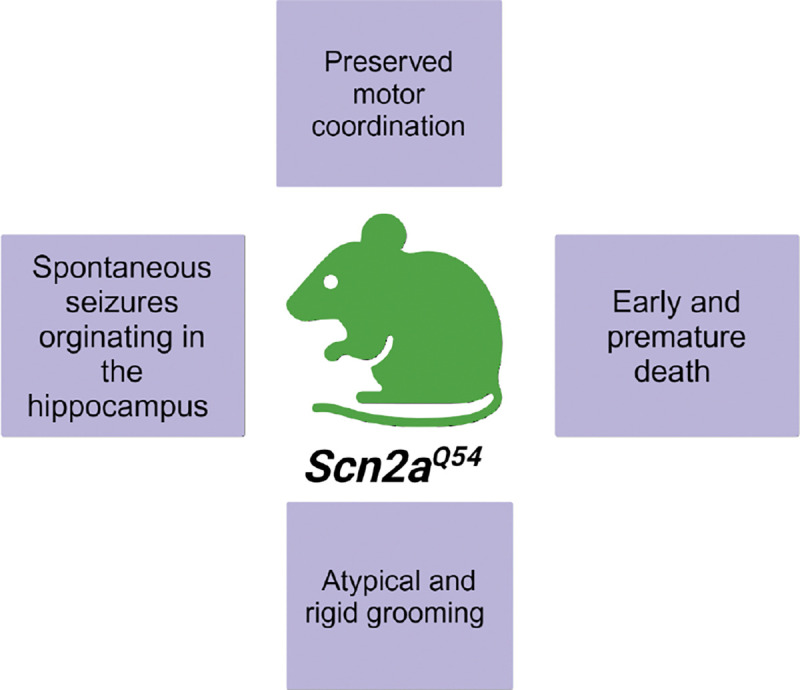 Figure 5: