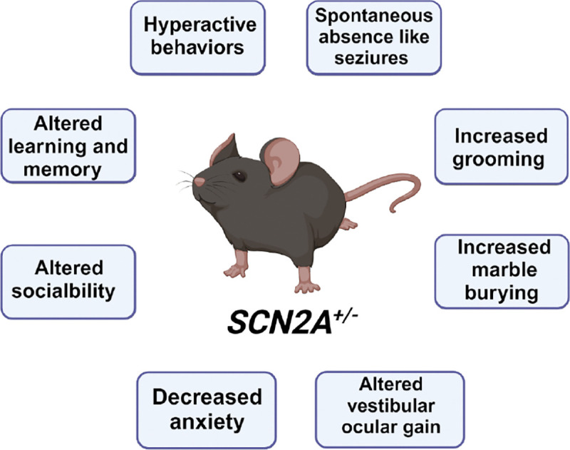 Figure 1: