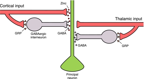 Fig. 6.