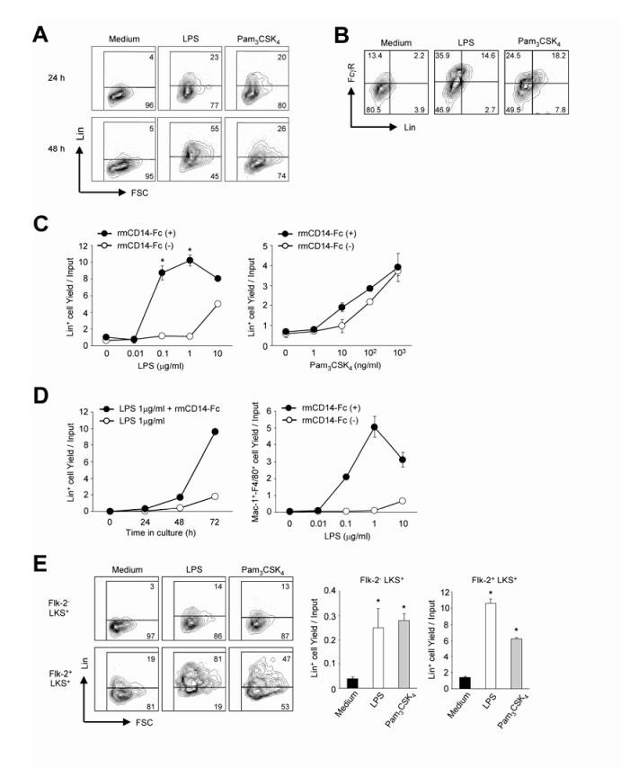 Supplementary Figure 3