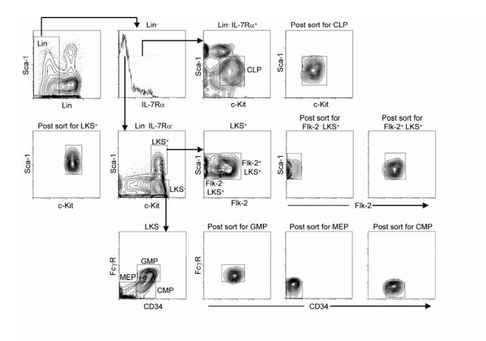 Supplementary Method 1