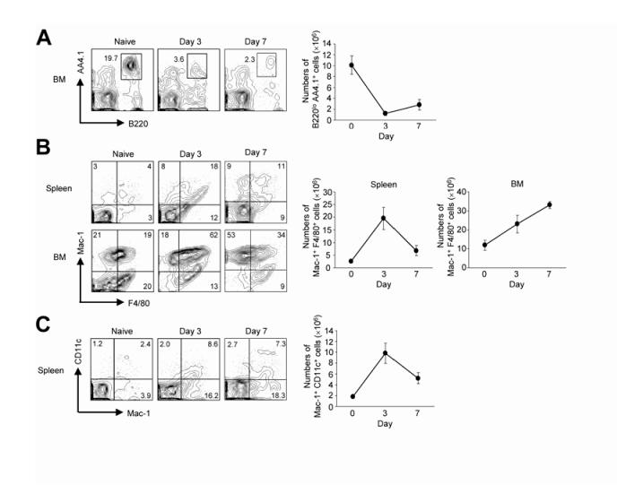 Supplementary Figure 7