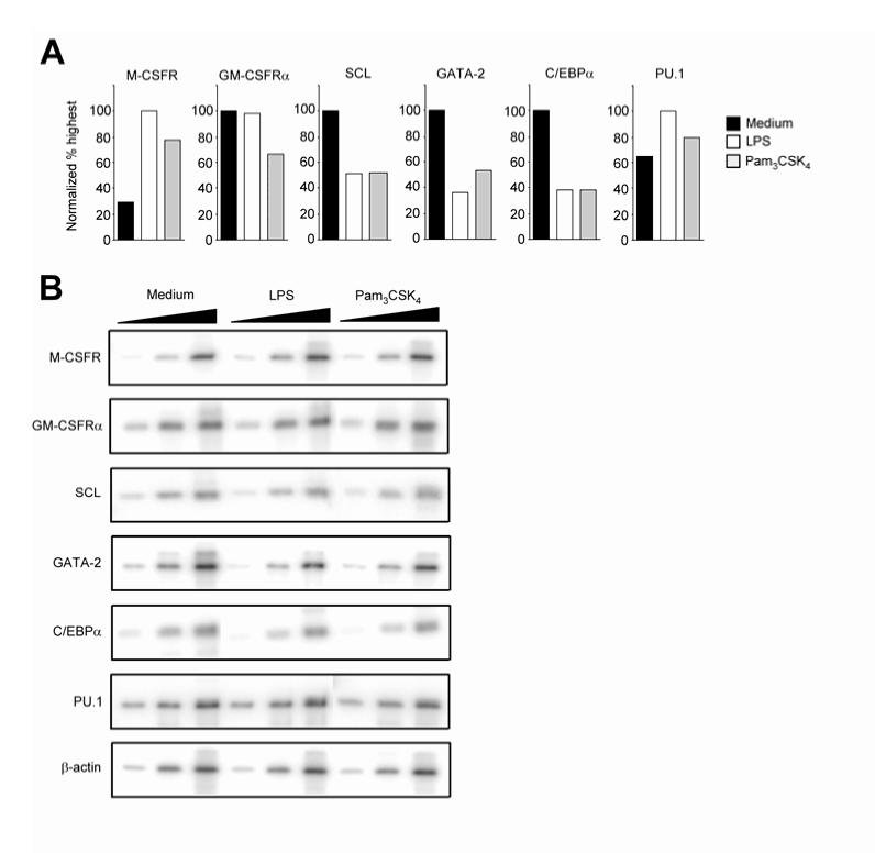 Supplementary Figure 4