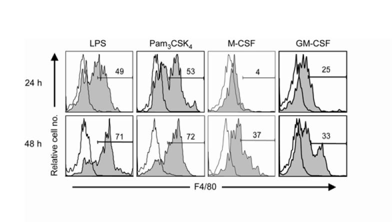 Supplementary Figure 5