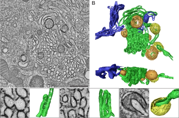 FIG 3 