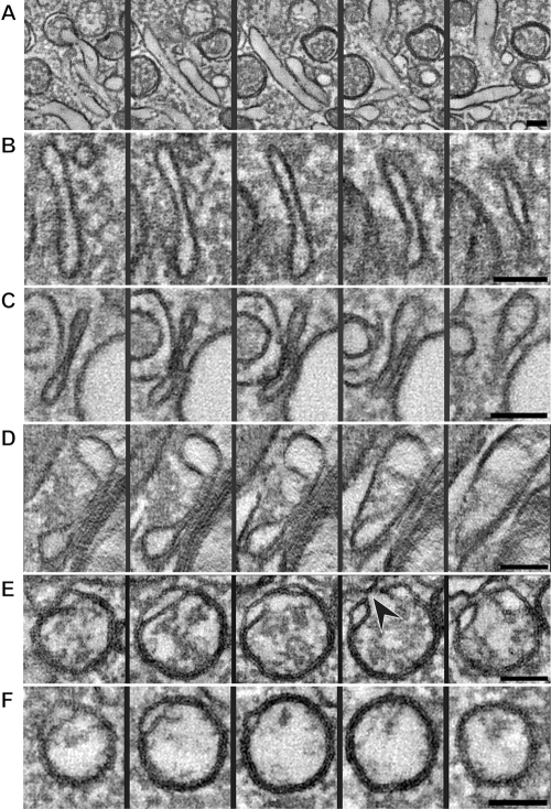 FIG 5 