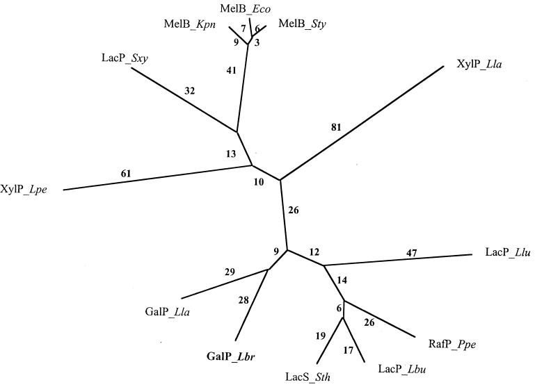 FIG. 6