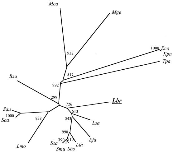 FIG. 3