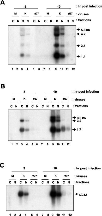 FIG. 8.