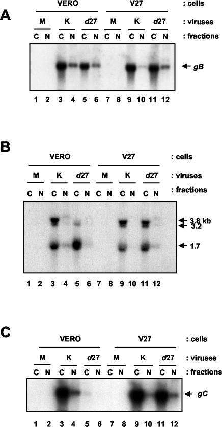 FIG. 6.