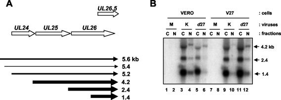 FIG. 5.