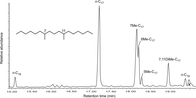 FIG. 5.