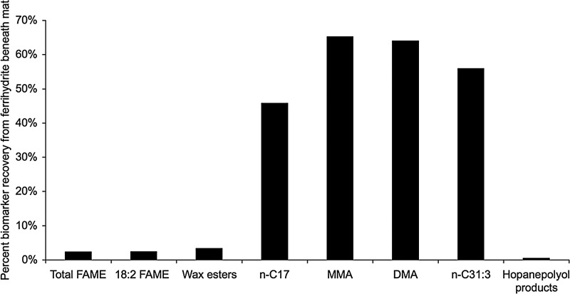 FIG. 7.