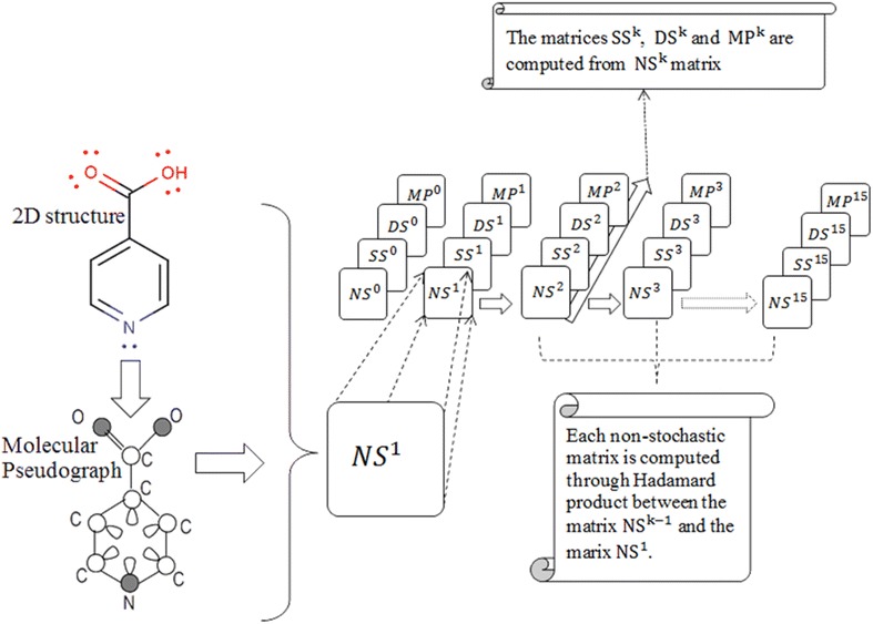 Schema 1
