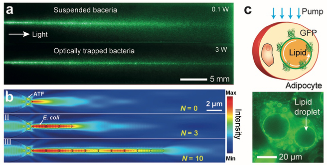 Figure 3.