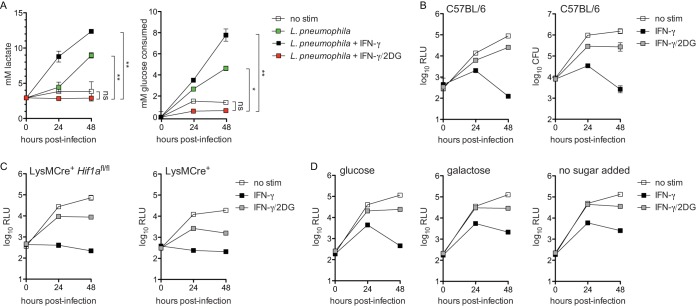 FIG 2