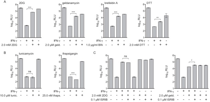 FIG 3