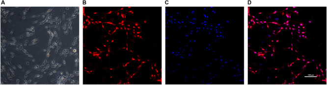 FIGURE 3