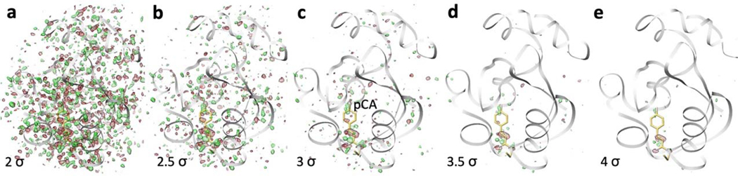 Extended Figure 6