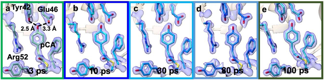 Extended Figure 3