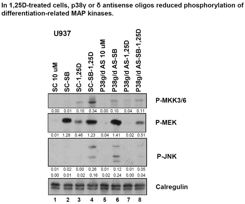 Fig.7