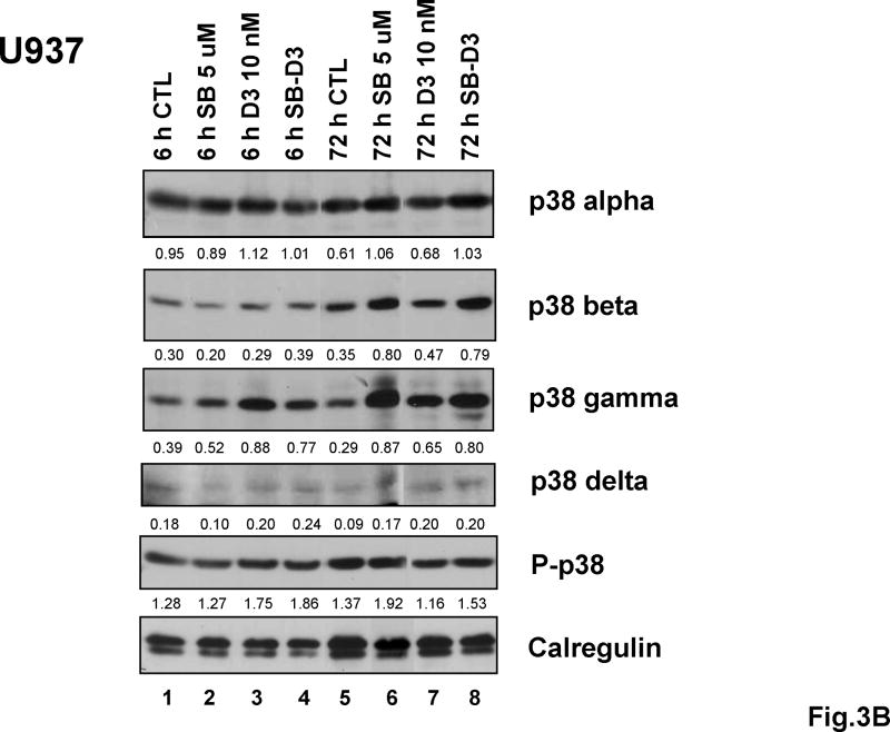 Fig.3