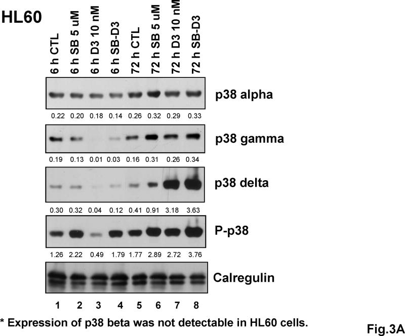 Fig.3