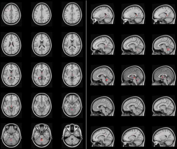 Fig. 7.