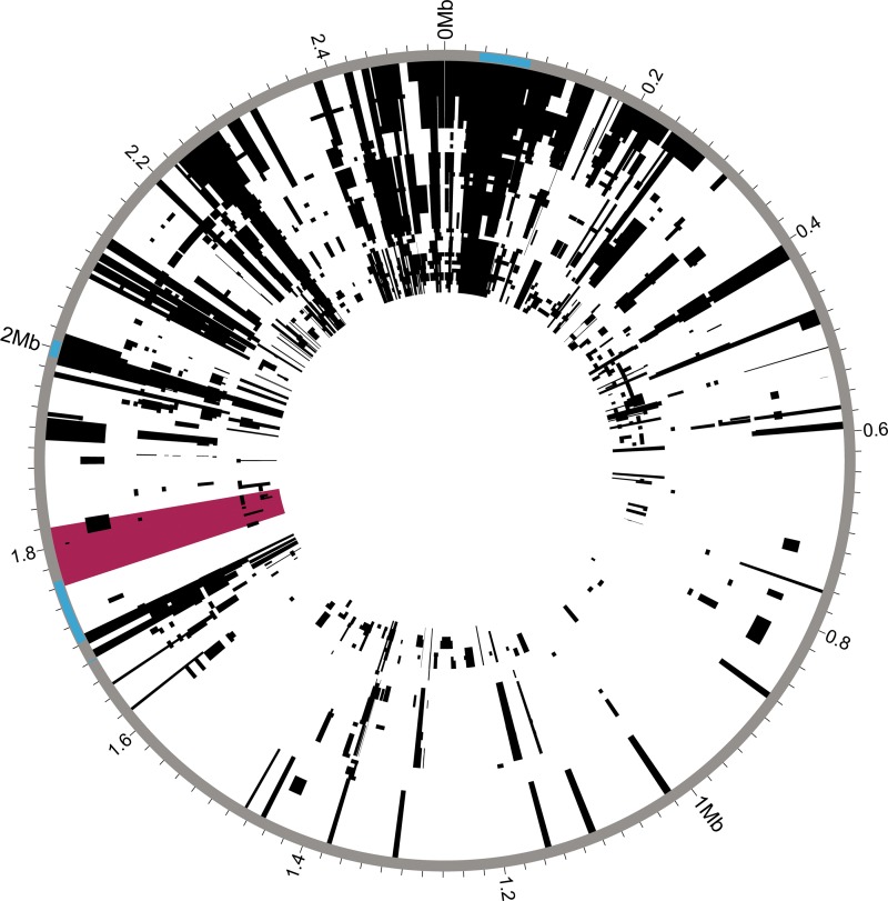 FIG 2 