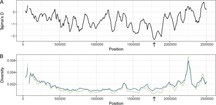 FIG 3 