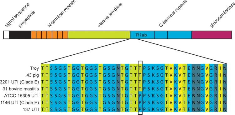 FIG 5 