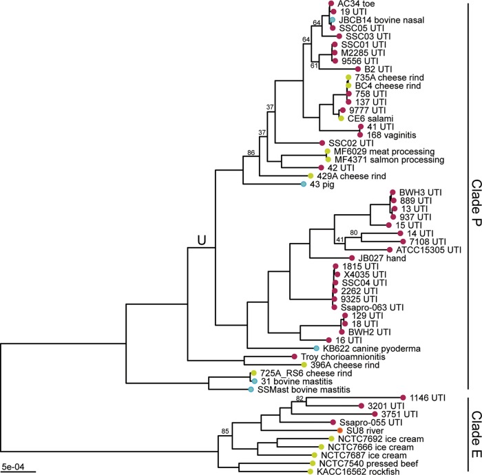 FIG 1 