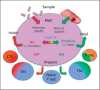 Fig. 3