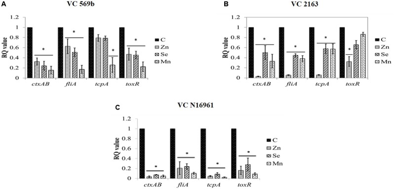 FIGURE 6