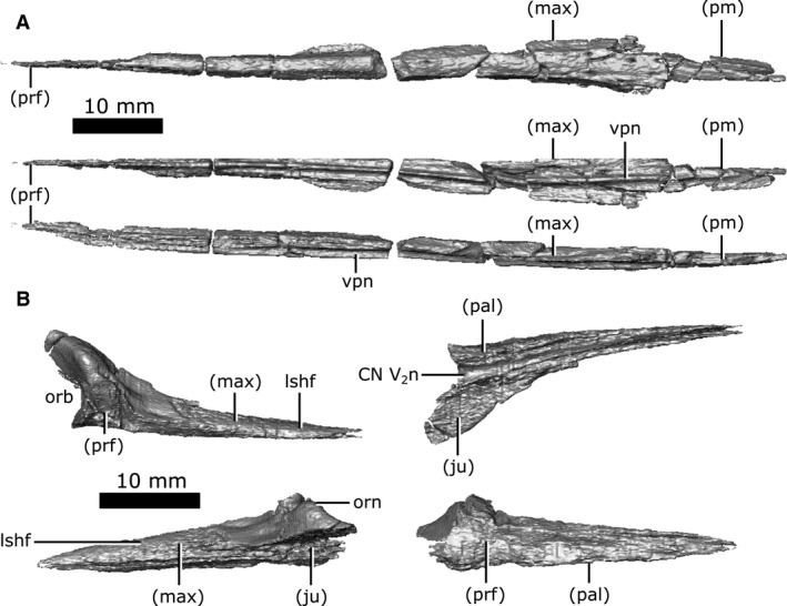 Figure 6