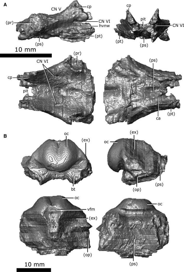 Figure 19