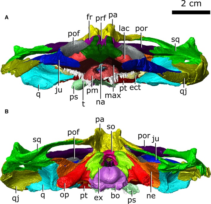 Figure 2