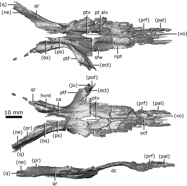 Figure 13