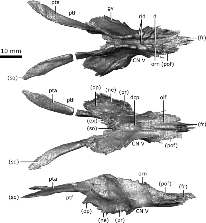 Figure 9