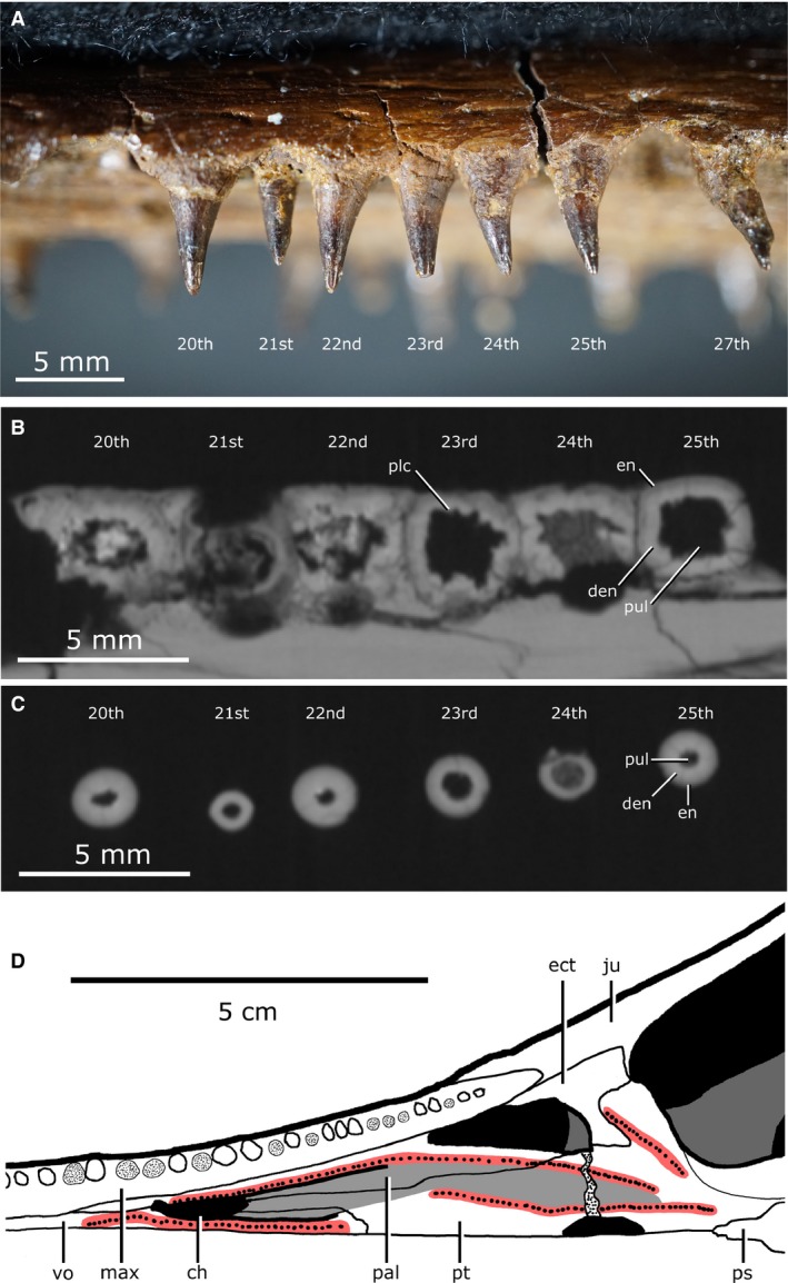 Figure 14