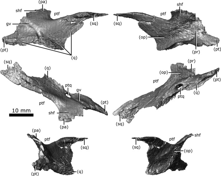 Figure 10