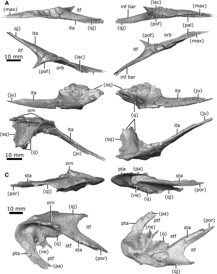 Figure 11