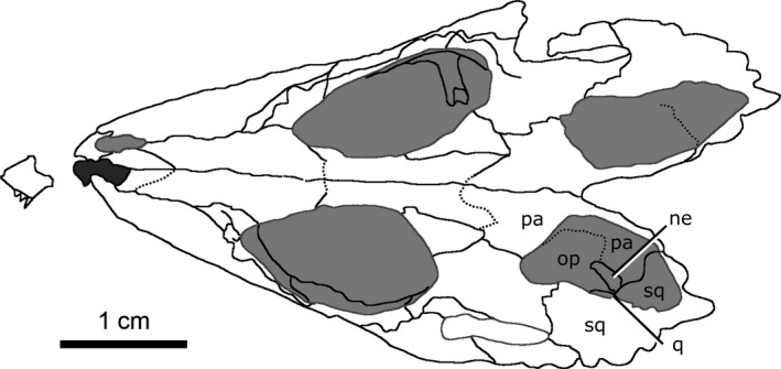 Figure 22