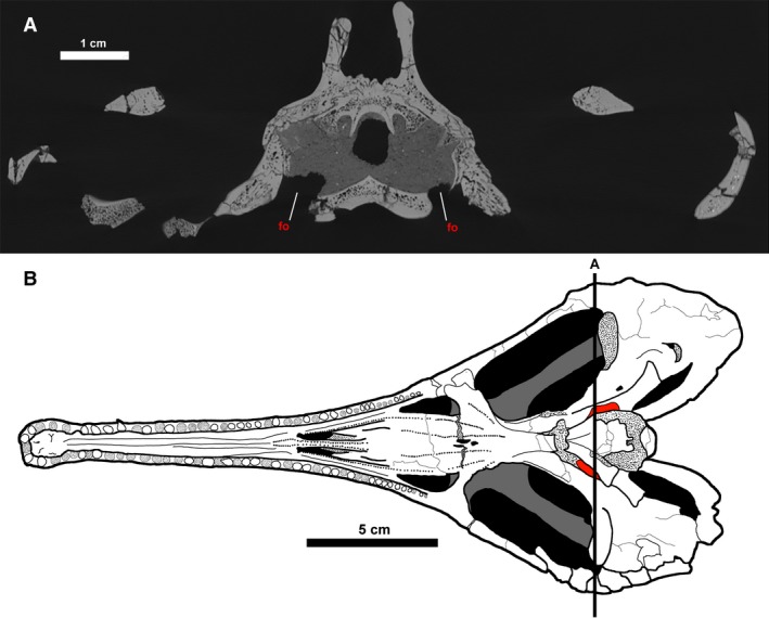 Figure 20