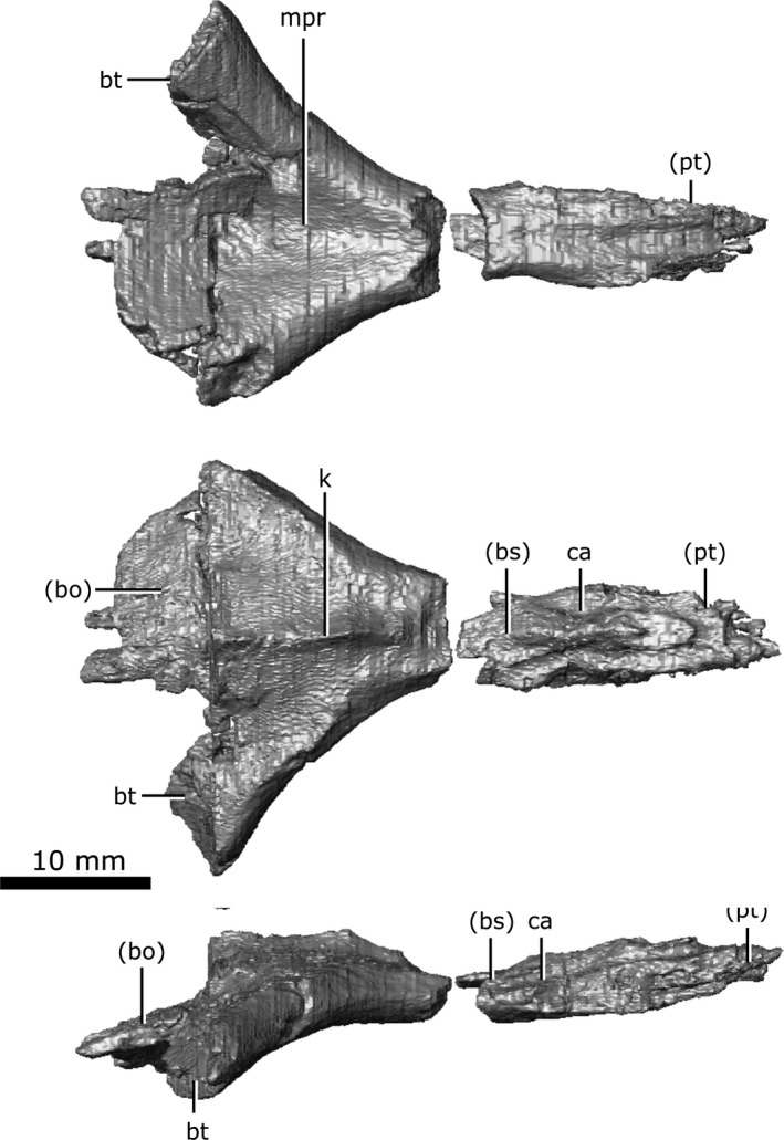 Figure 18