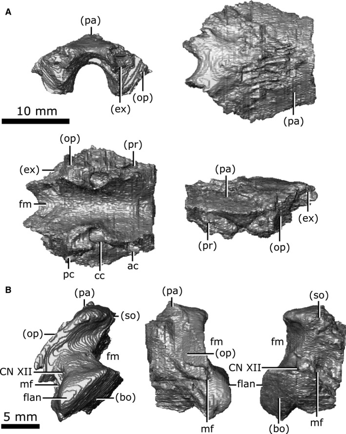 Figure 17