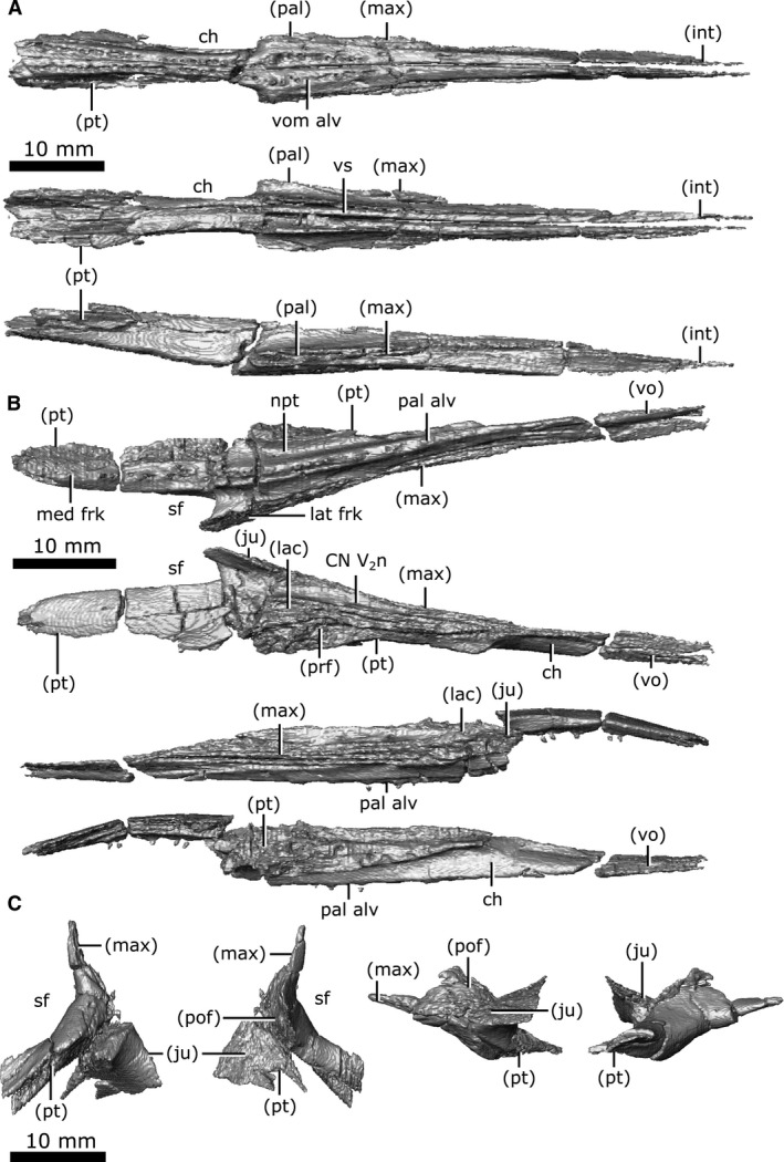 Figure 12