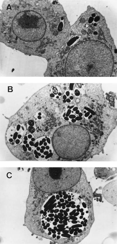 FIG. 5