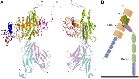 Fig. 3.