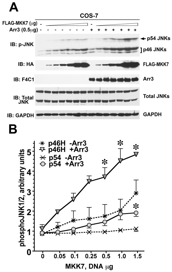 Fig. 5